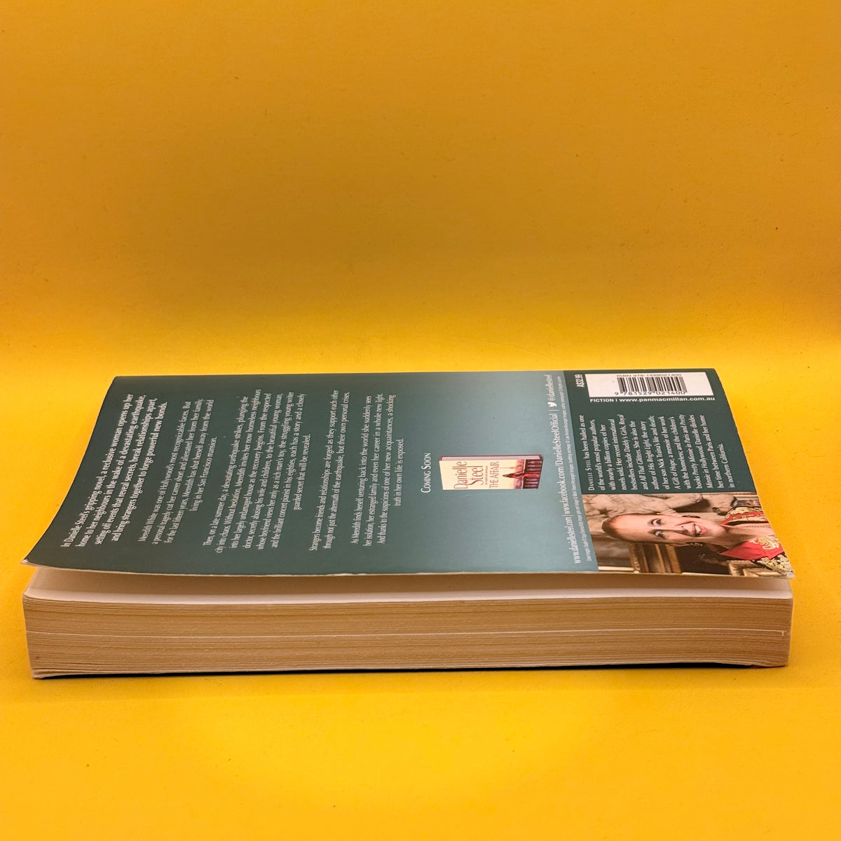 Neighbours by Danielle Steel