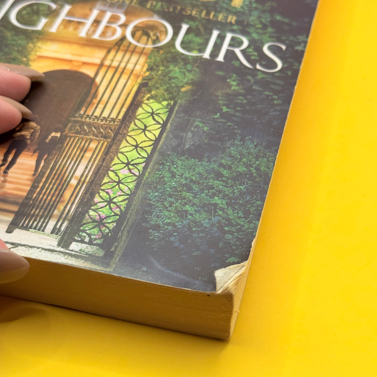 Neighbours by Danielle Steel