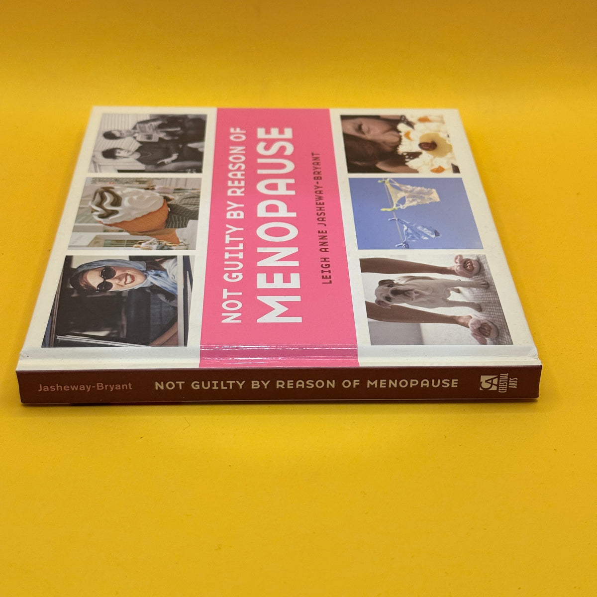 Not Guilty by Reason of Menopause by Leigh Anne Jasheway-Bryant