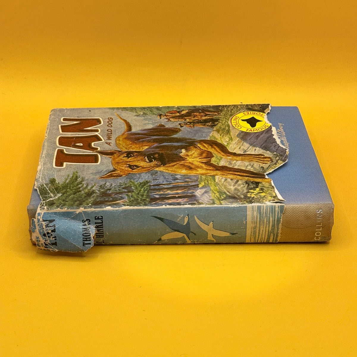 Jan: A Wild Dog by Thomas C. Hinkle (1969)