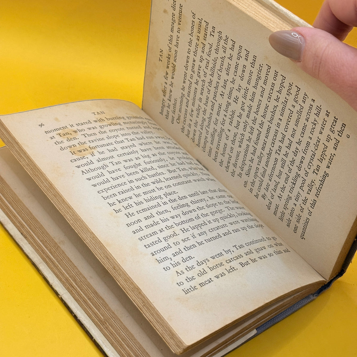 Jan: A Wild Dog by Thomas C. Hinkle (1969)