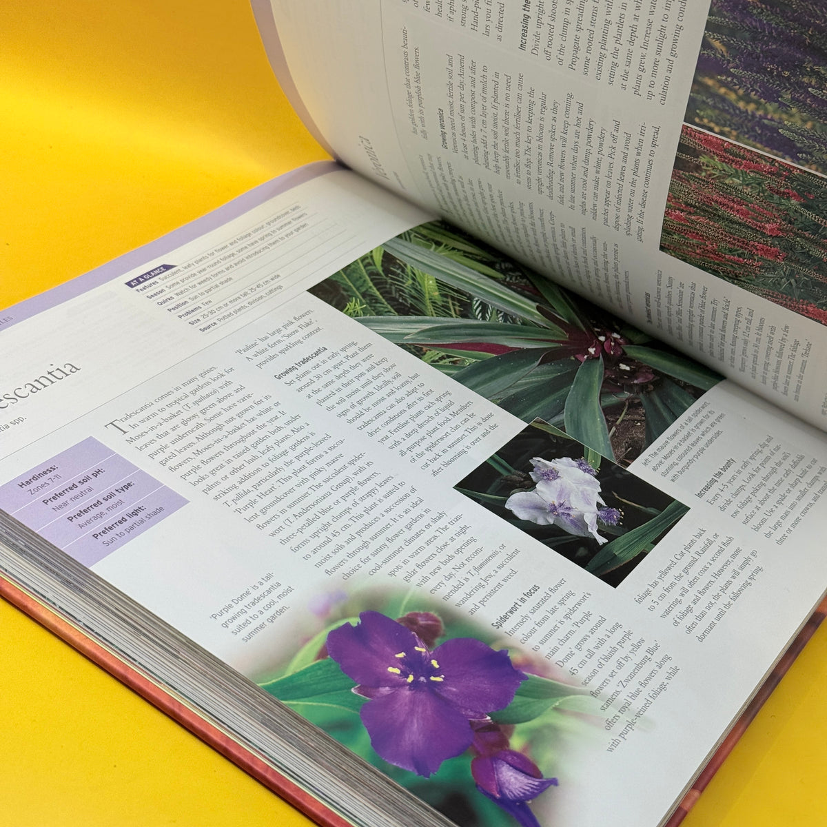 Care-Free Plants by Reader’s Digest
