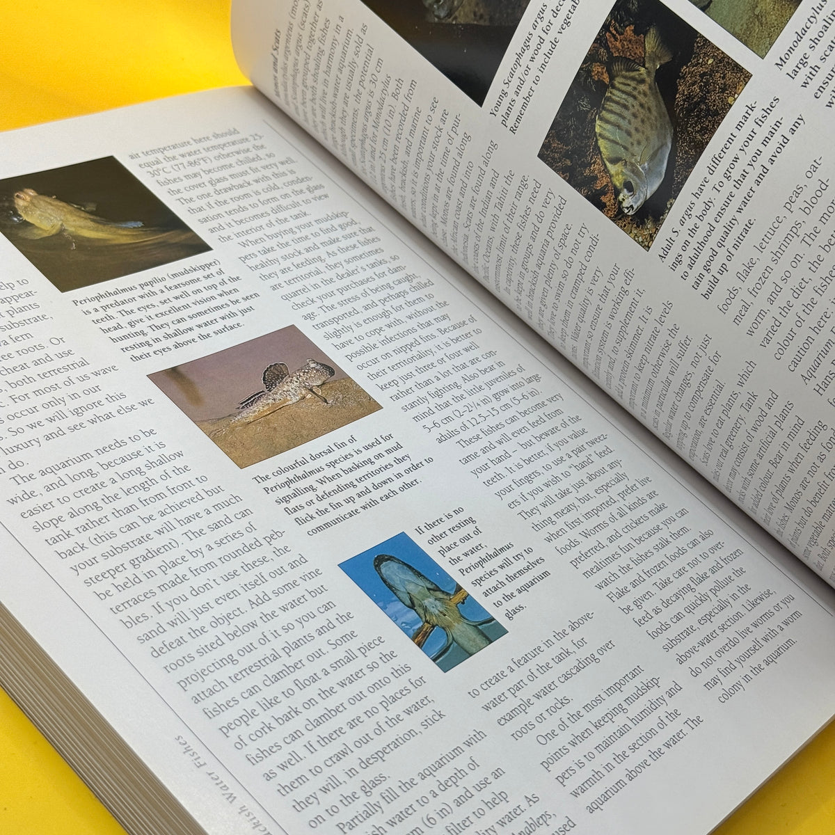 The Ultimate Encyclopedia of Aquarium Fish & Fish Care by Mary Bailey and Gina Sandford