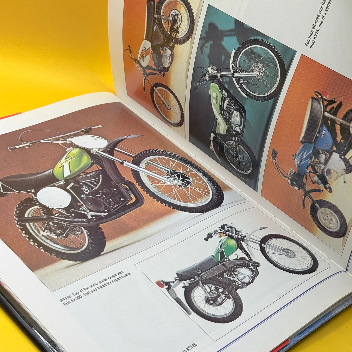 The Illustrated Motorcycle Legends: Kawasaki by Roy Bacon
