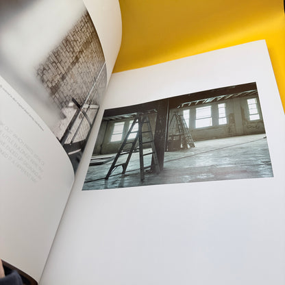Britomart: The Story by Carroll du Chateau