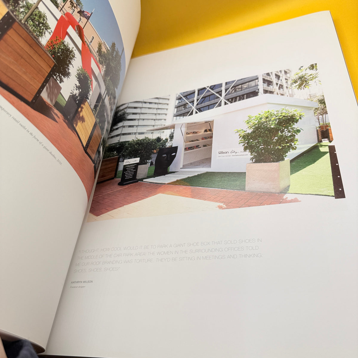 Britomart: The Story by Carroll du Chateau