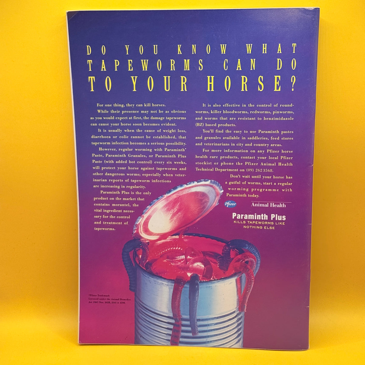 New Zealand Horse and Pony, November 1994 by New Zealand Horse and Pony