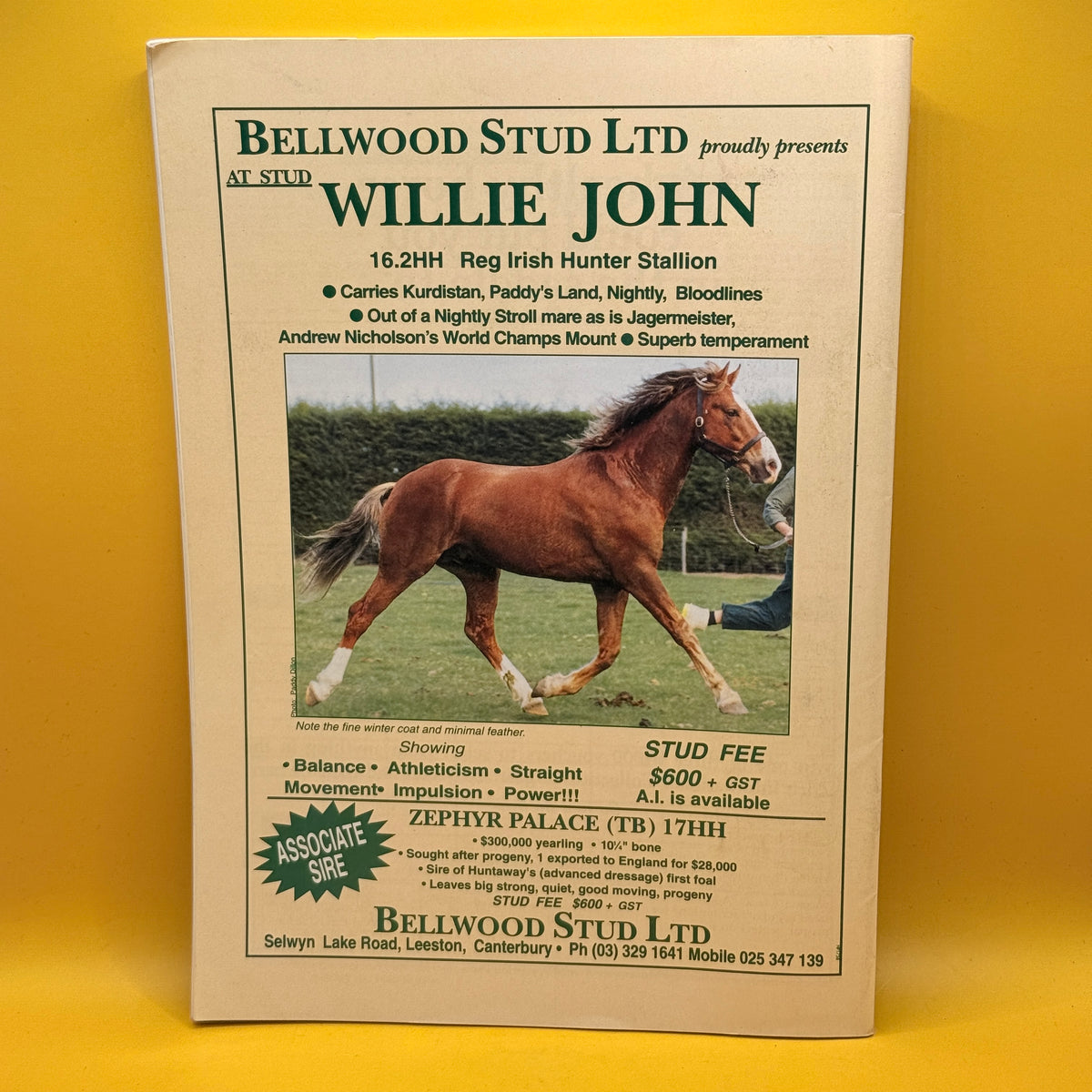 New Zealand Horse and Pony, October 1994 by New Zealand Horse and Pony