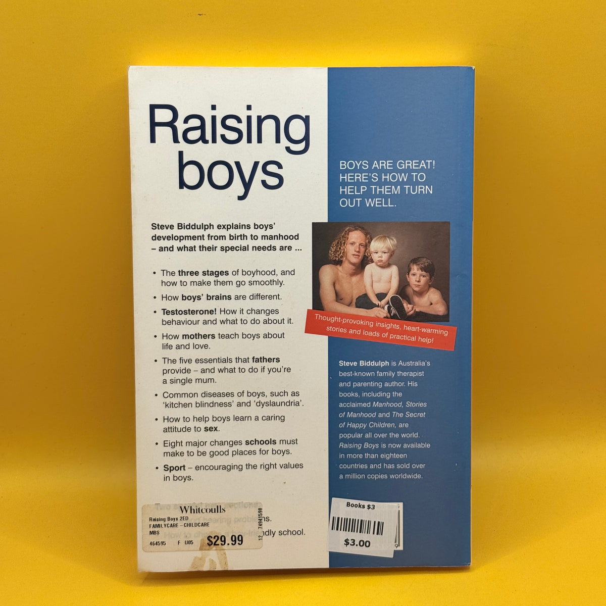 Raising Boys by Steve Biddulph