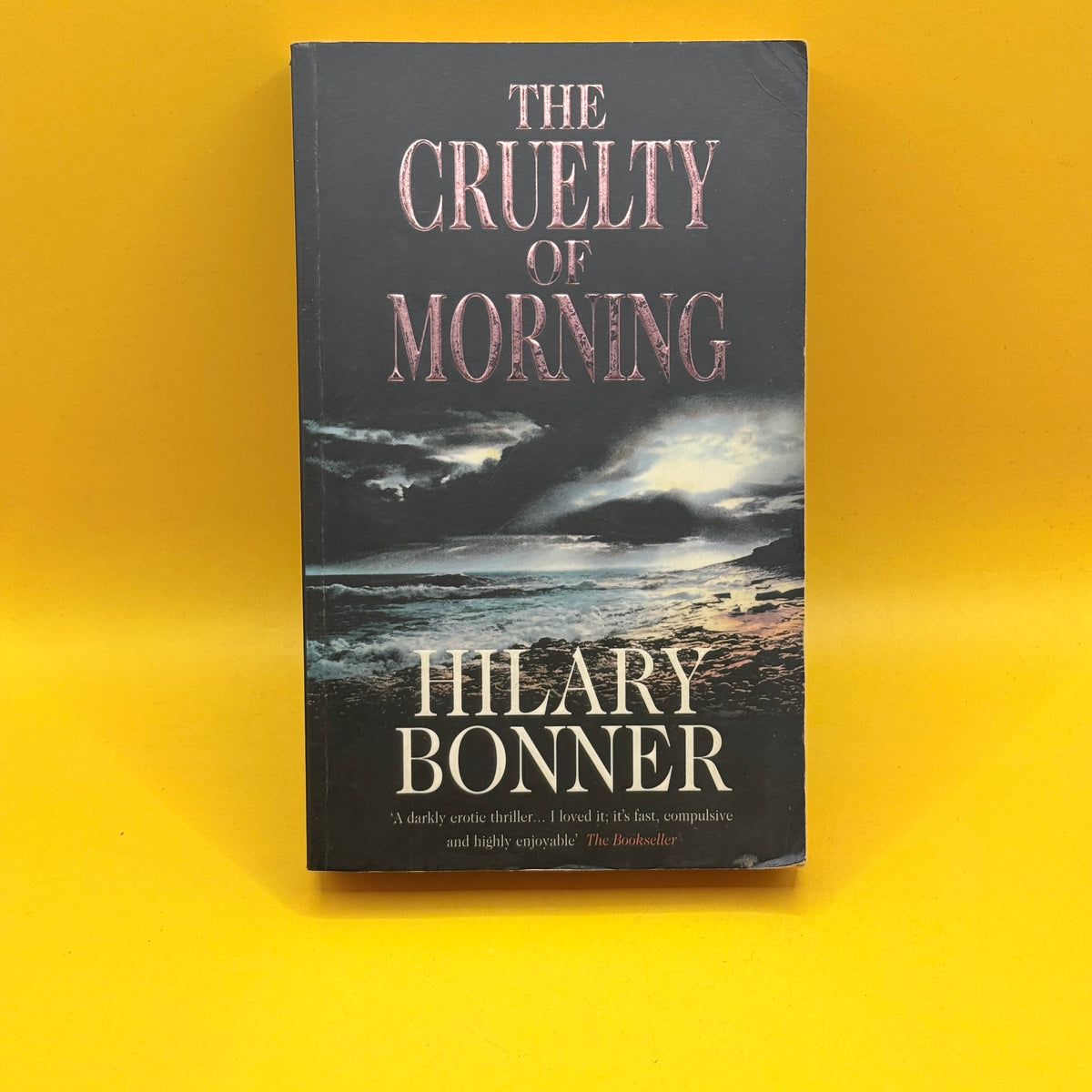 The Cruelty of Morning by Hilary Bonner
