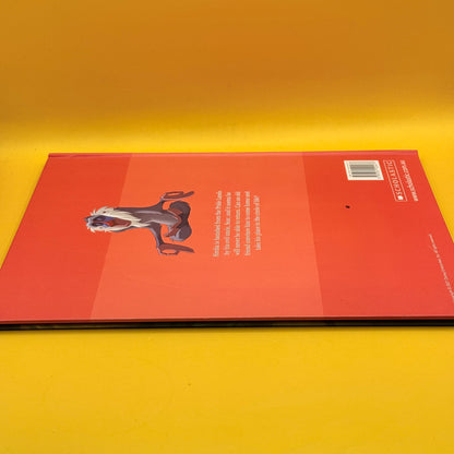 The Lion King Storybook Collection by Disney