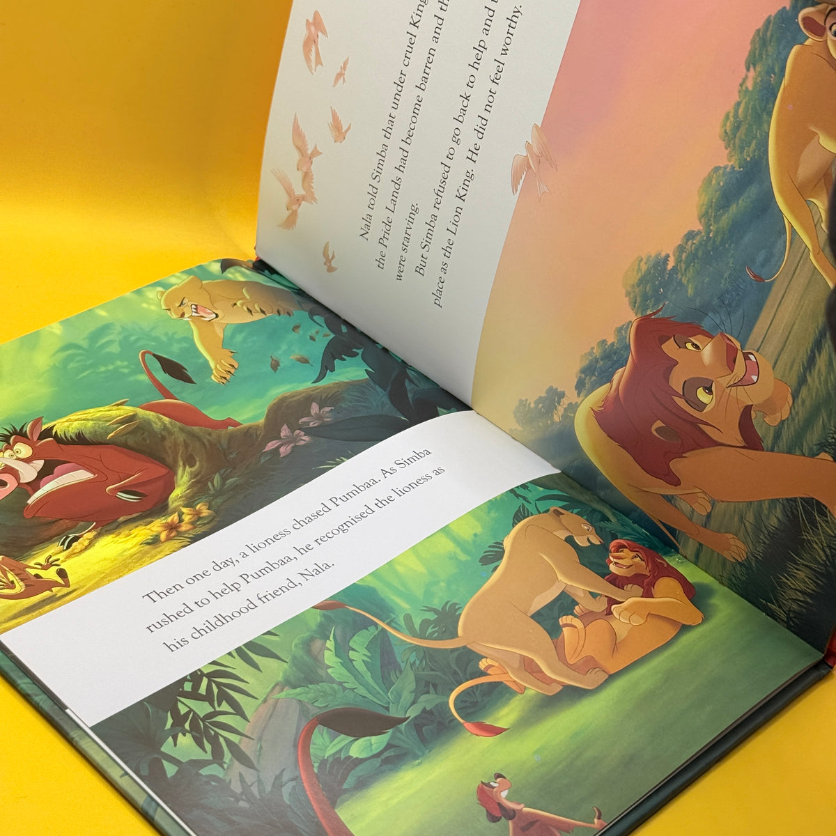 The Lion King Storybook Collection by Disney