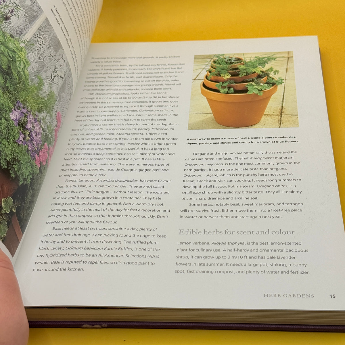 The New Herb Bible by Caroline Foley