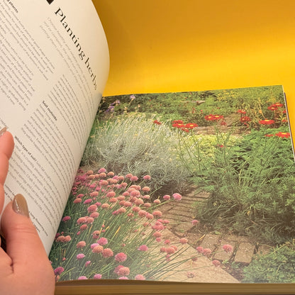 The New Herb Bible by Caroline Foley