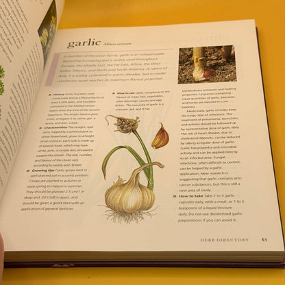The New Herb Bible by Caroline Foley