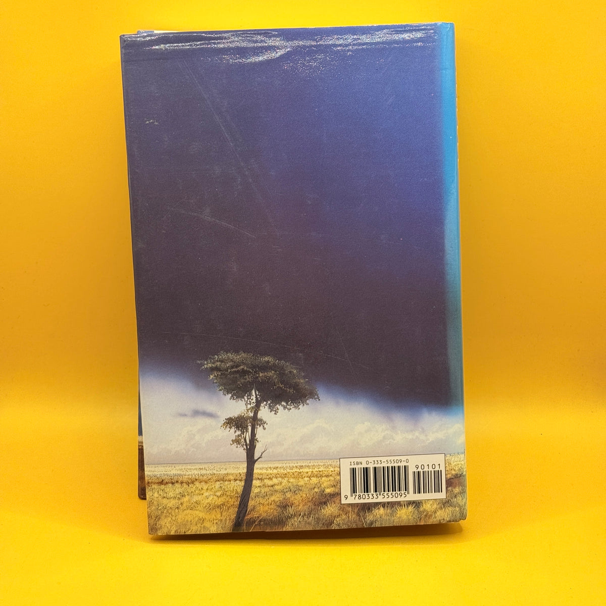 Elephant Song by Wilbur Smith (1991)
