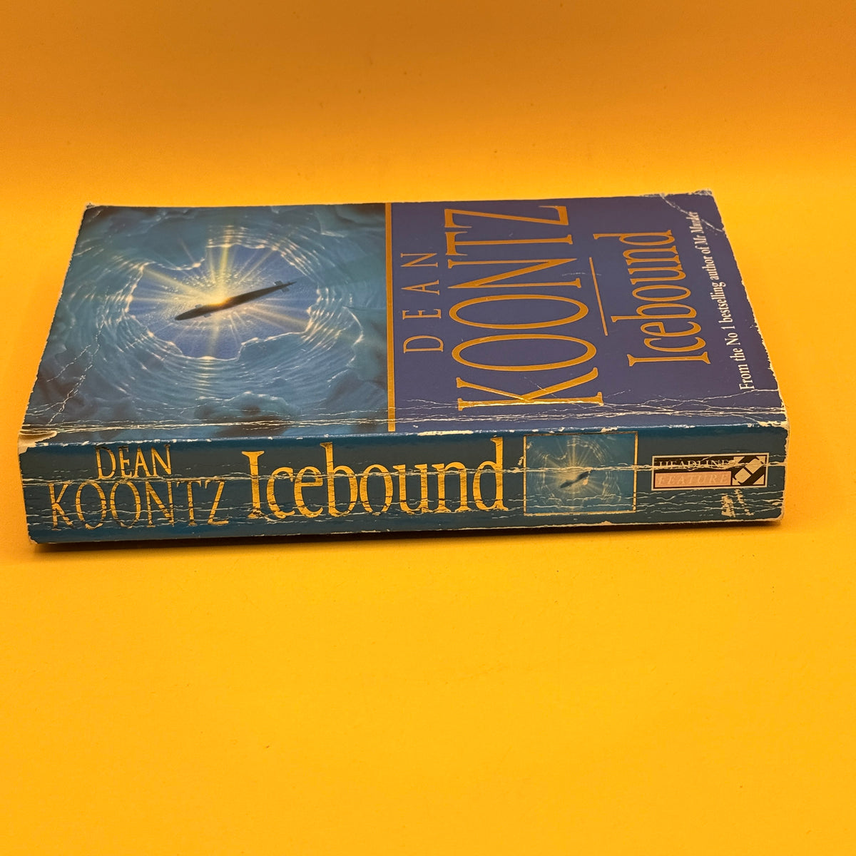 Icebound by Dean Koontz