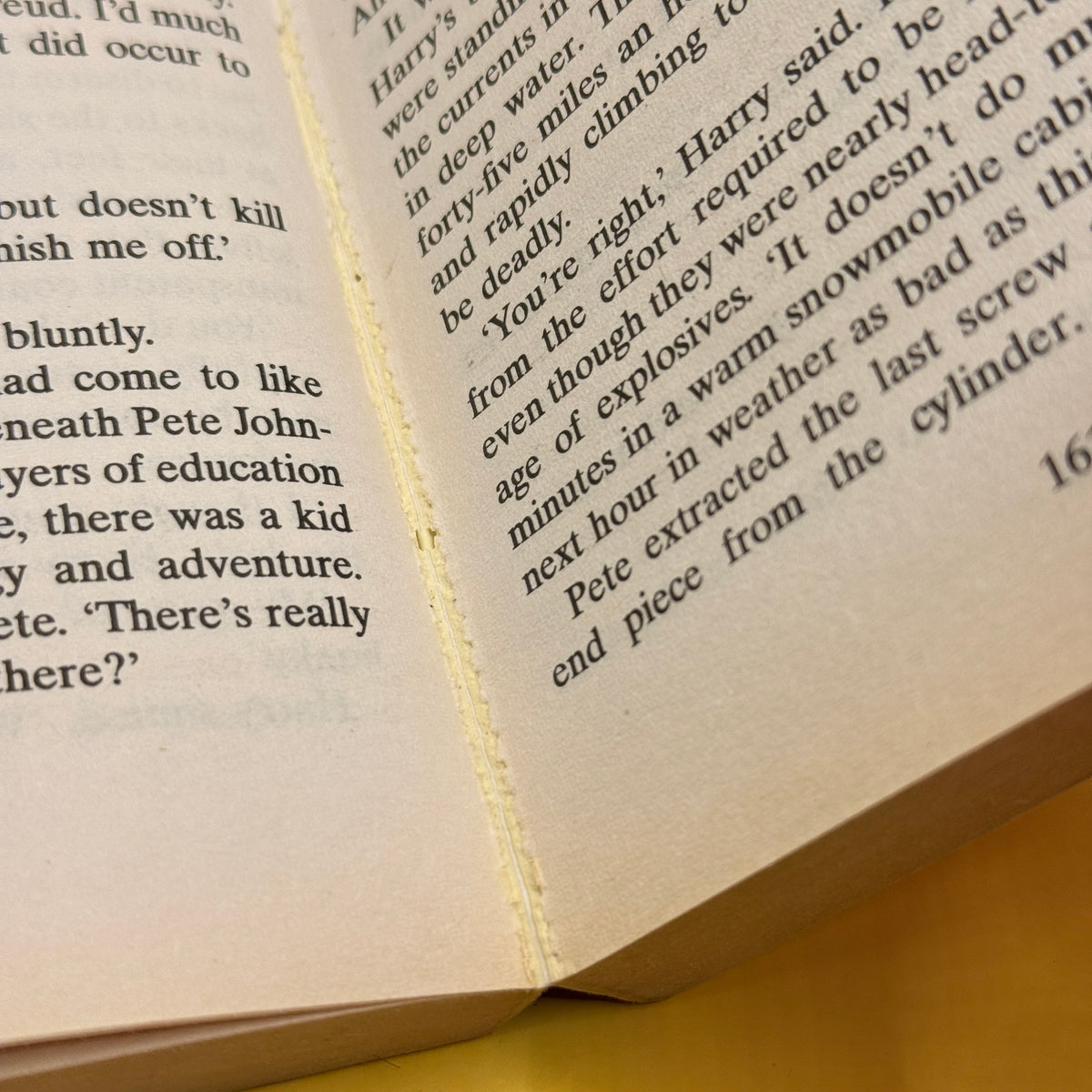 Icebound by Dean Koontz