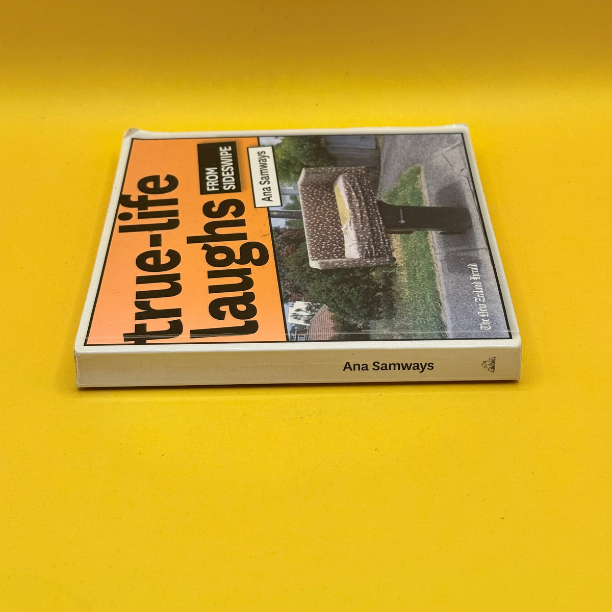 True-Life Laughs from Sideswipe by Ana Samways