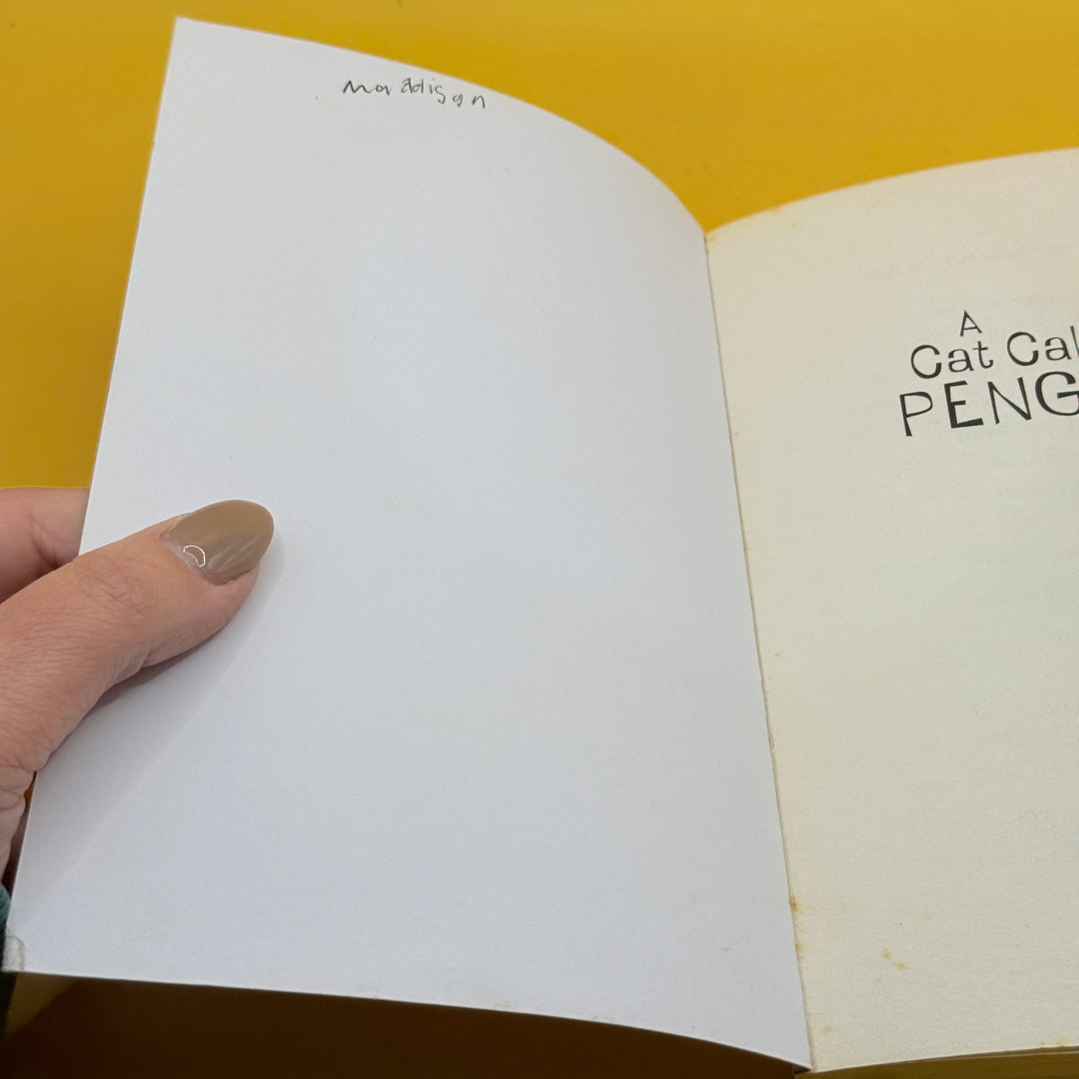 A Cat Called Penguin by Holly Webb
