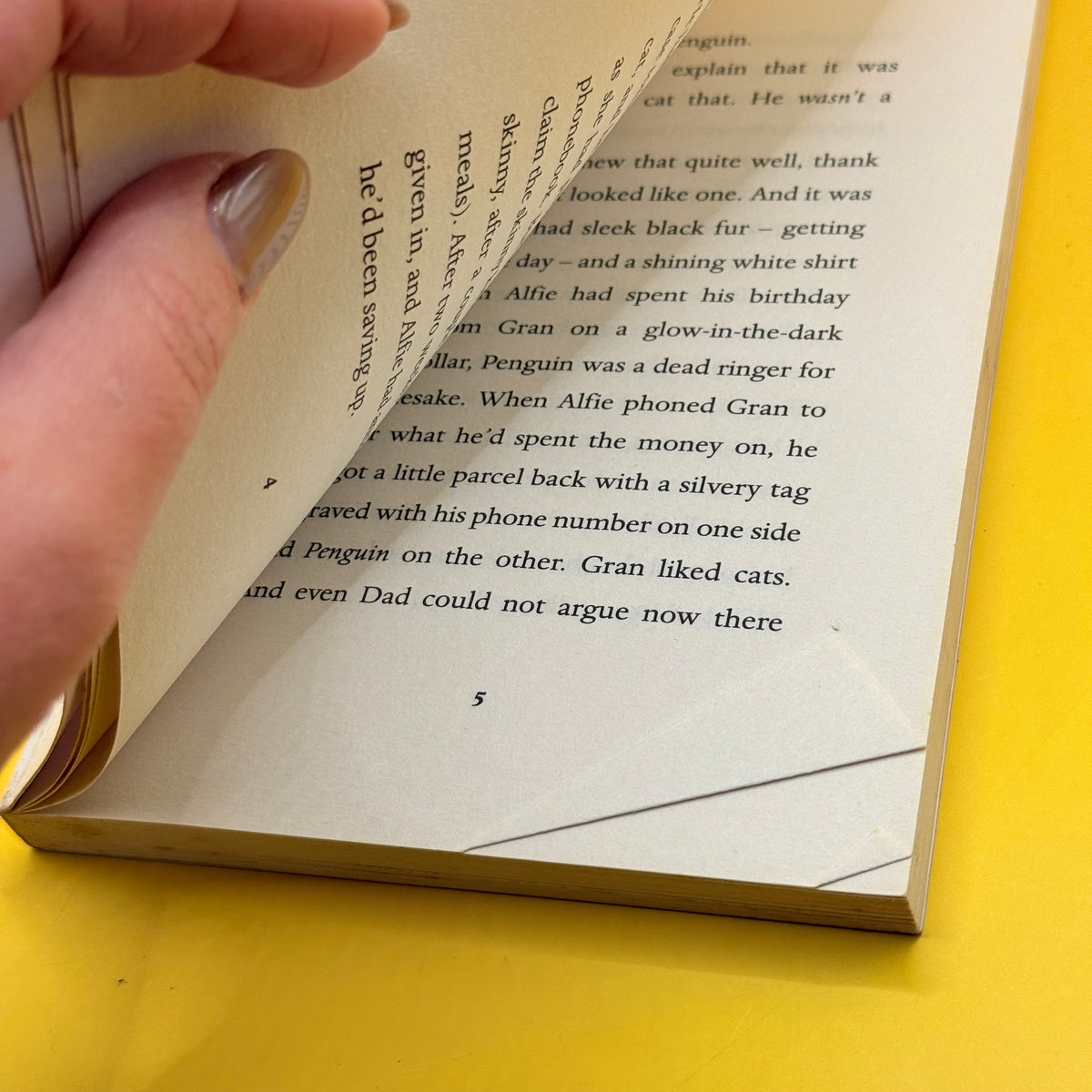 A Cat Called Penguin by Holly Webb