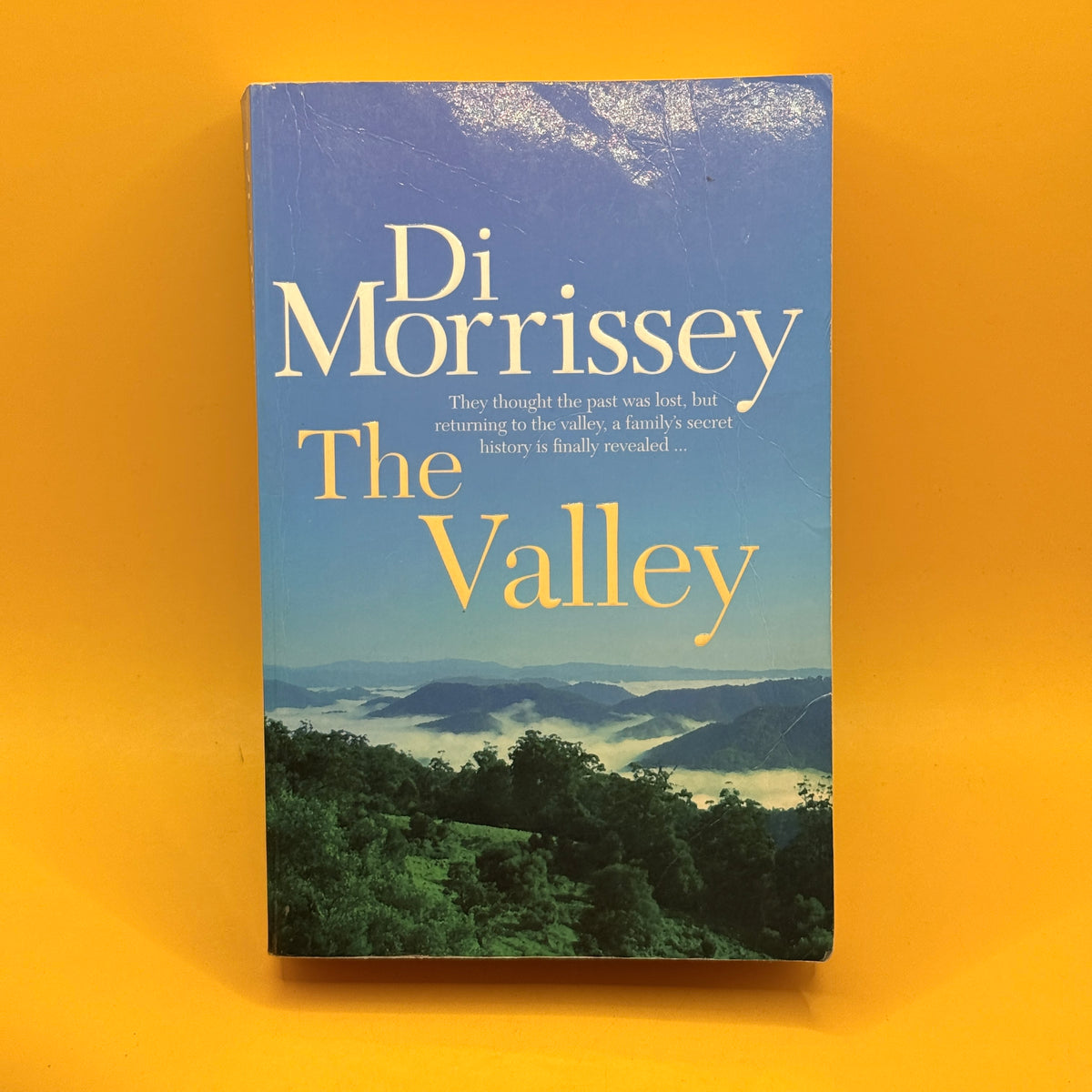 The Valley by Di Morrissey