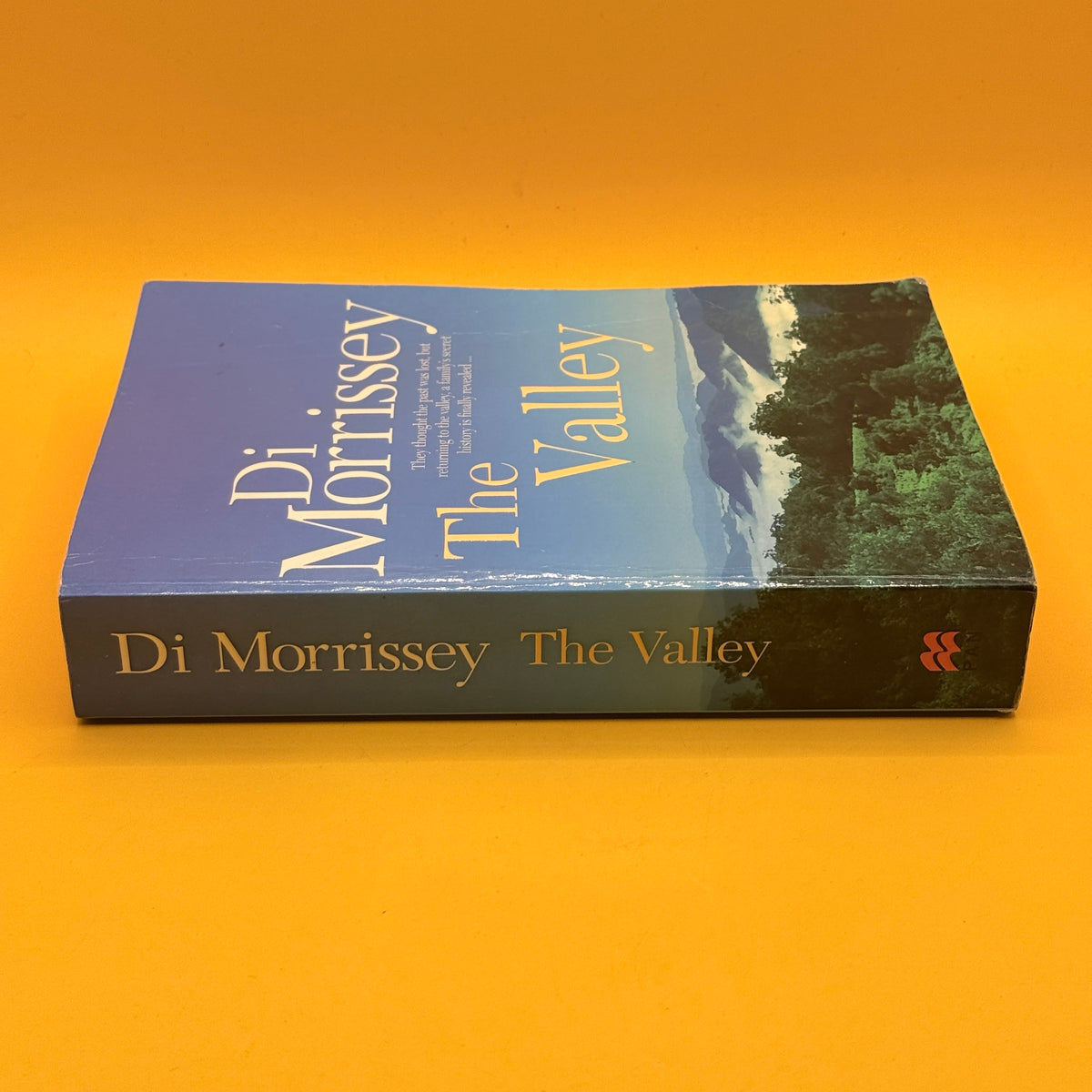 The Valley by Di Morrissey