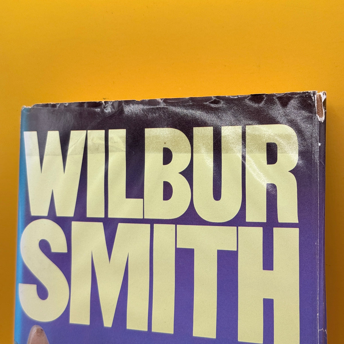 The Burning Shore by Wilbur Smith (1985)