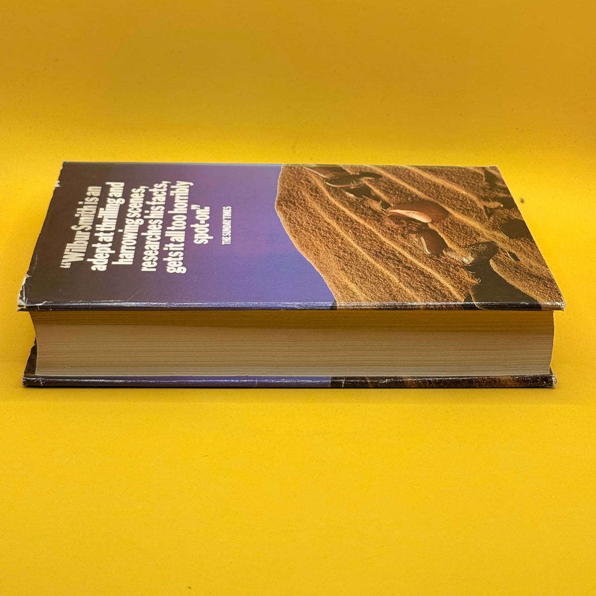 The Burning Shore by Wilbur Smith (1985)