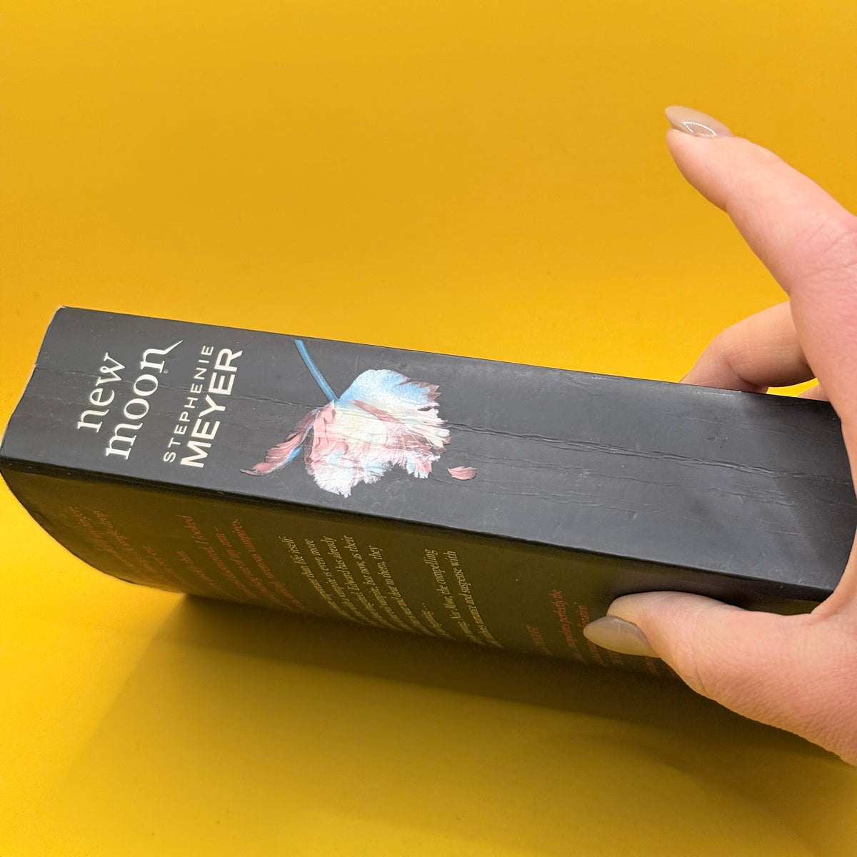 New Moon by Stephenie Meyer (Special Edition)