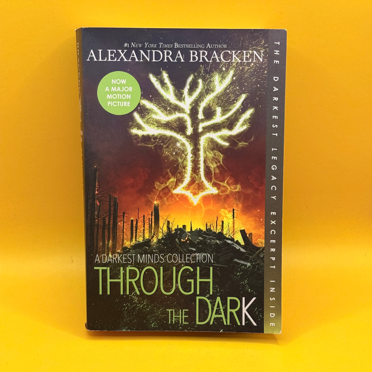 Through the Dark by Alexandra Bracken