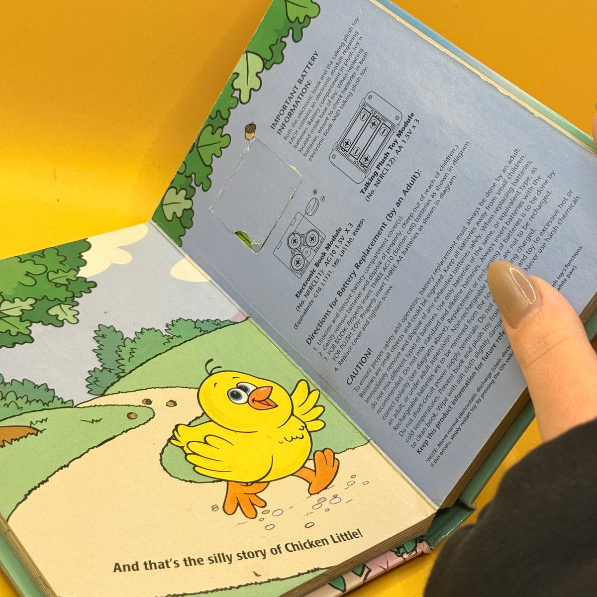 Buttons the Barn Cat Reads… The Story of Chicken Little
