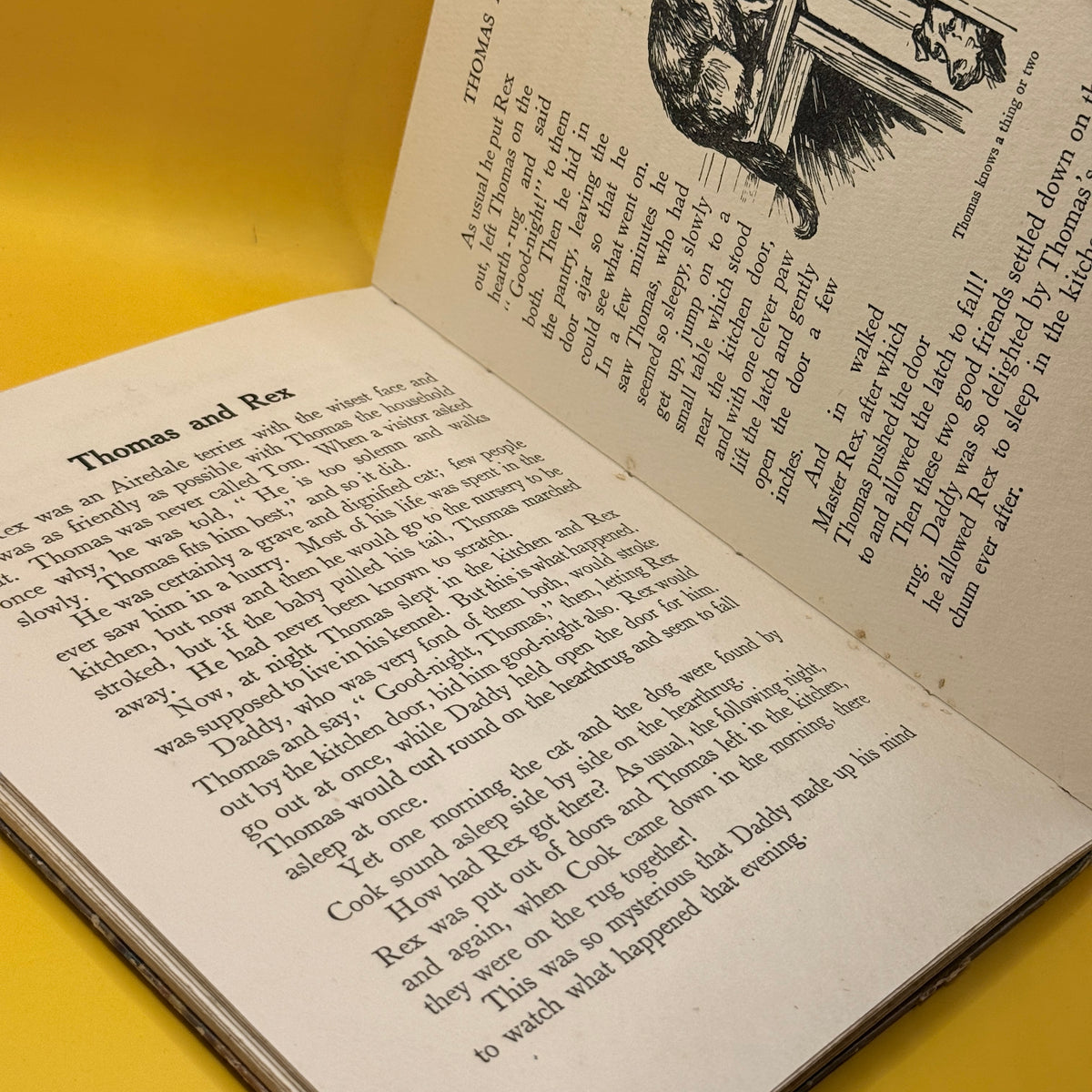 Vintage Stories of Our Pets by Blackie