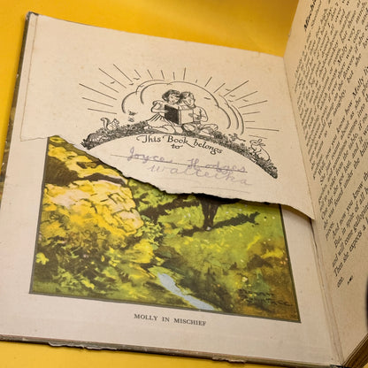 Vintage Stories of Our Pets by Blackie
