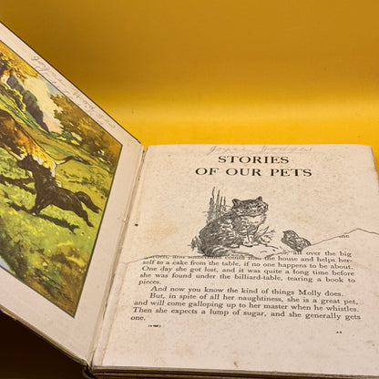 Vintage Stories of Our Pets by Blackie