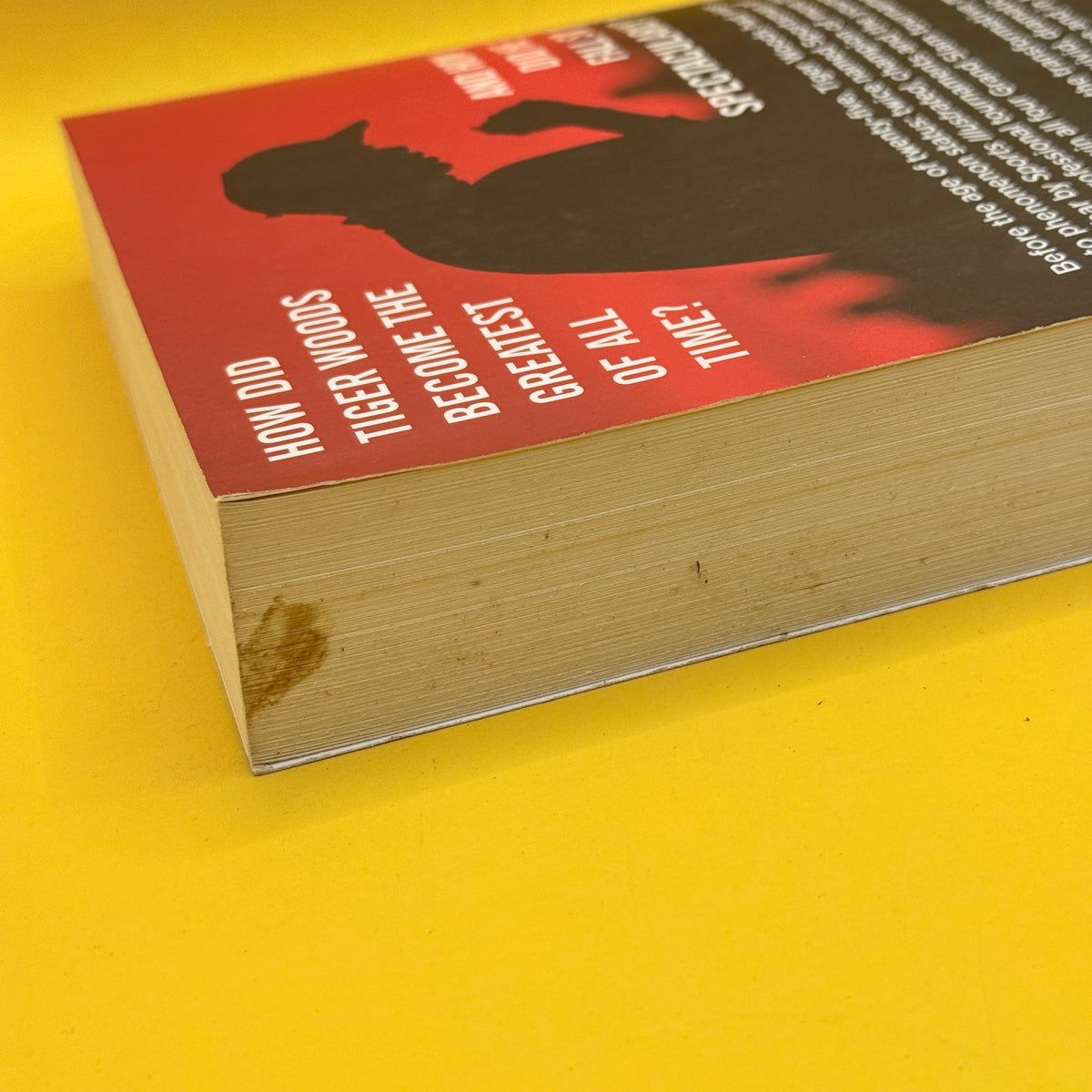 Tiger, Tiger by James Patterson
