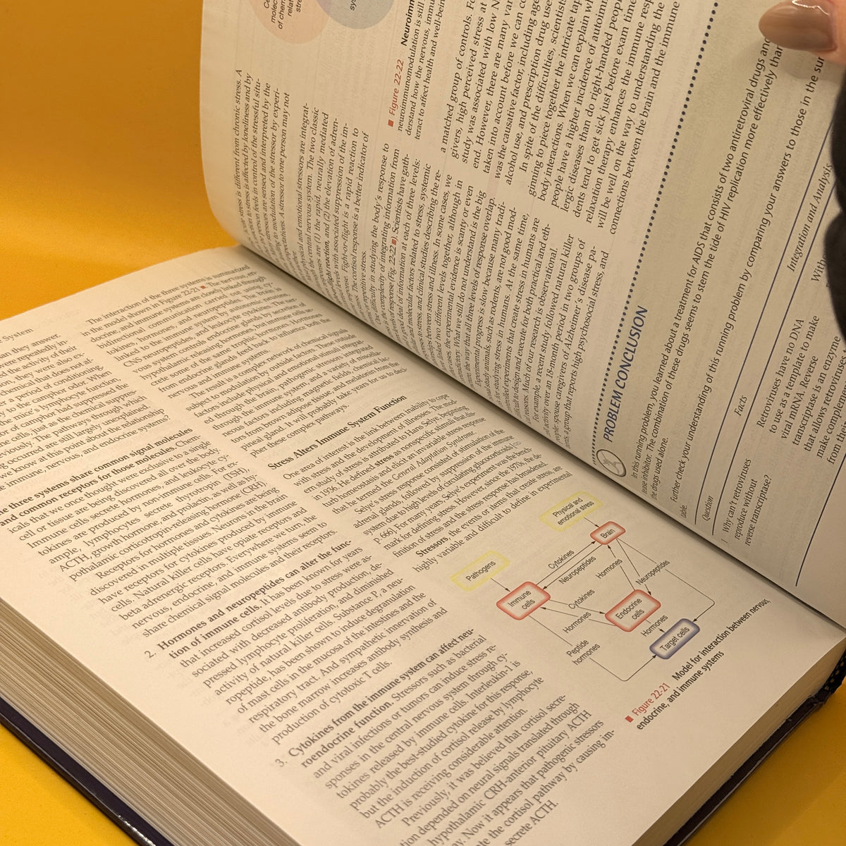 Human Physiology: An Integrated Approach by Dee Unglaub Silverthorn