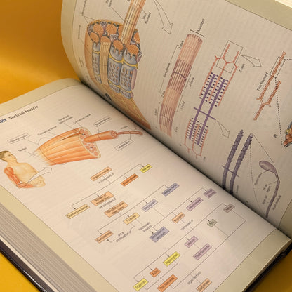 Human Physiology: An Integrated Approach by Dee Unglaub Silverthorn