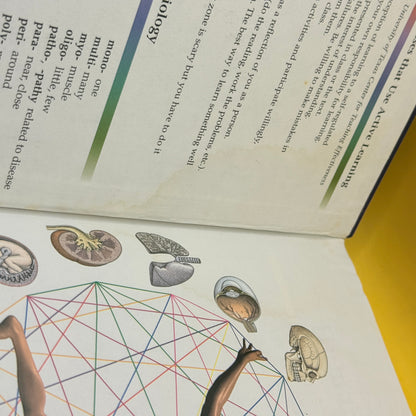 Human Physiology: An Integrated Approach by Dee Unglaub Silverthorn