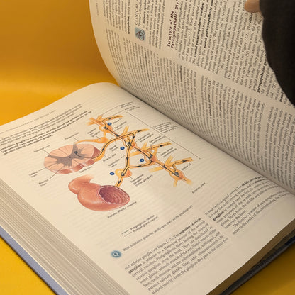Principles of Anatomy and Physiology by Gerard J. Tortora and Sandra Reynolds Grabowski