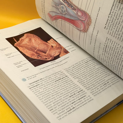 Principles of Anatomy and Physiology by Gerard J. Tortora and Sandra Reynolds Grabowski