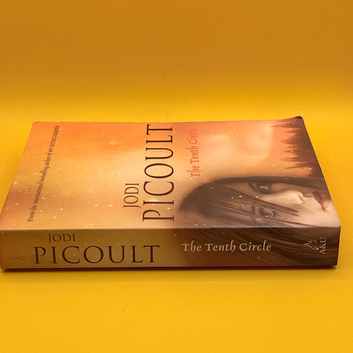 The Tenth Circle by Jodi Picoult