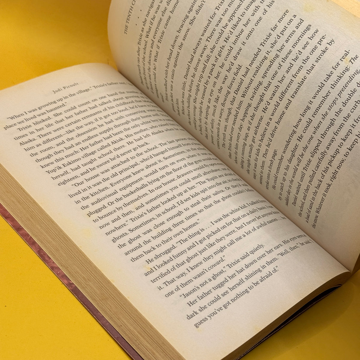 The Tenth Circle by Jodi Picoult