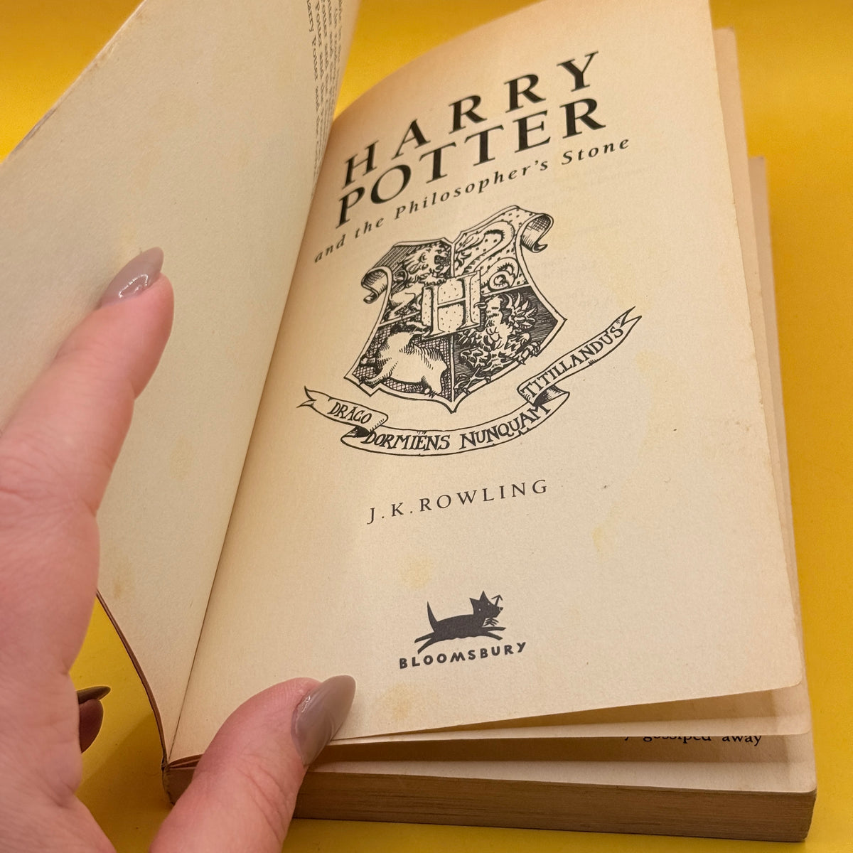 Harry Potter and the Philosopher's Stone by J. K. Rowling