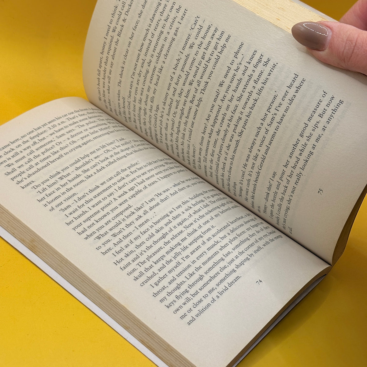 The Crime Writer by Jill Dawson