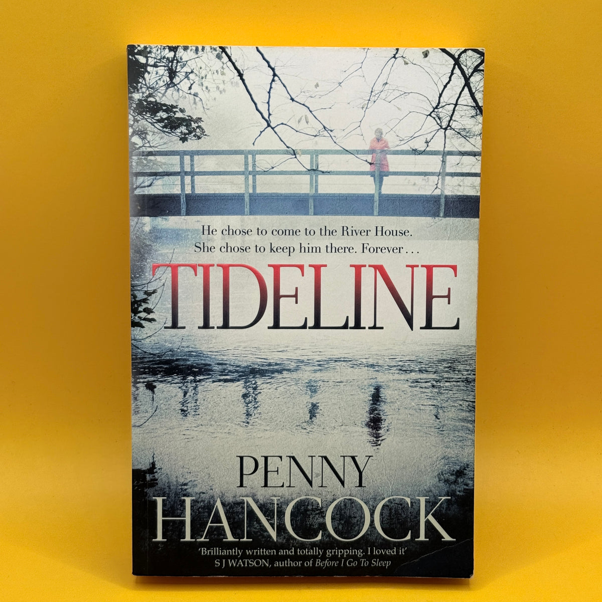 Tideline by Penny Hancock