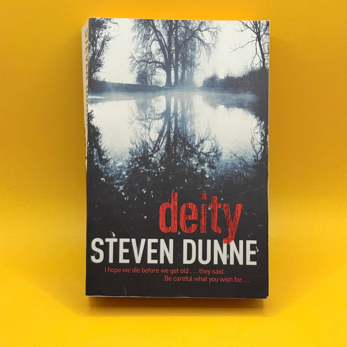 Deity by Steven Dunne