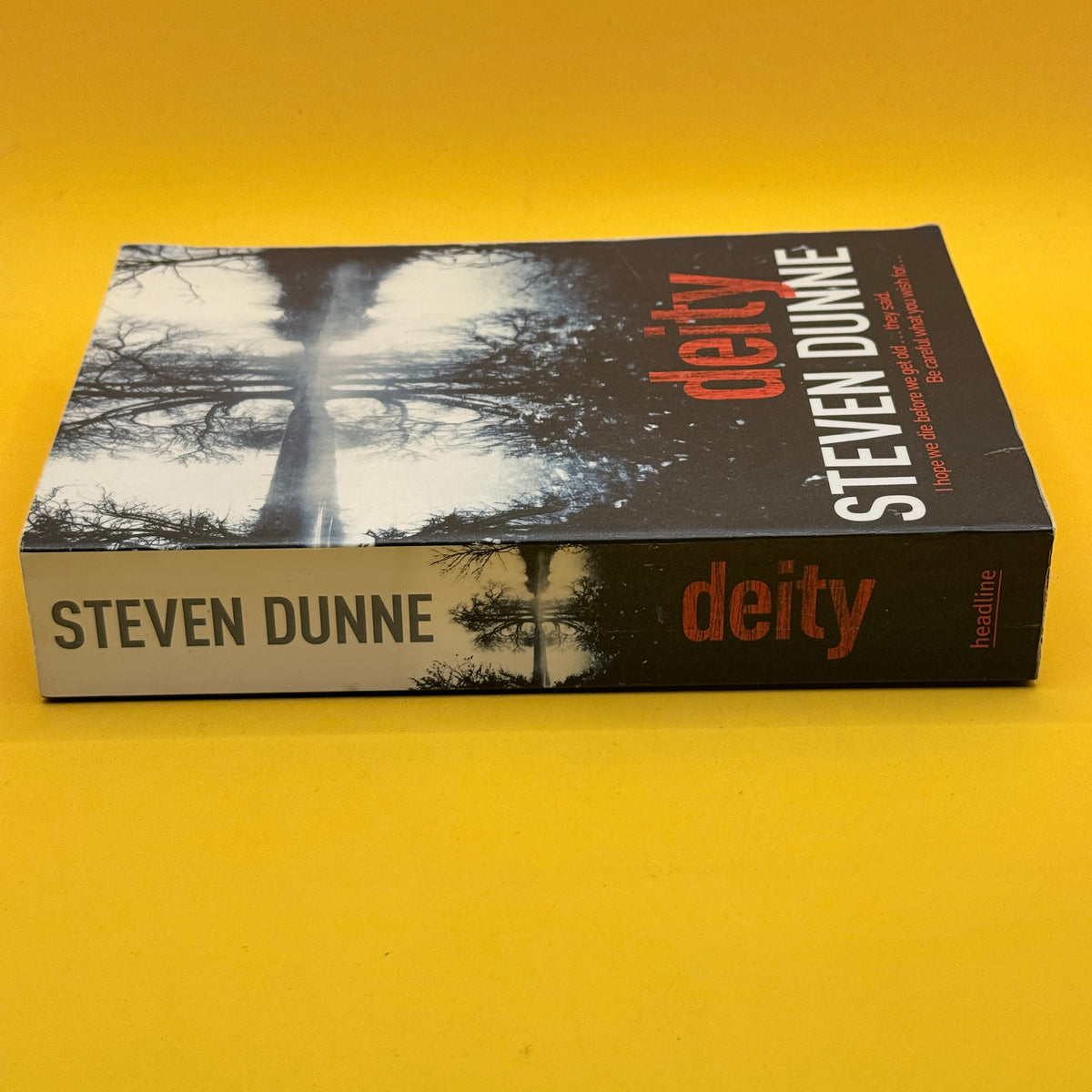 Deity by Steven Dunne
