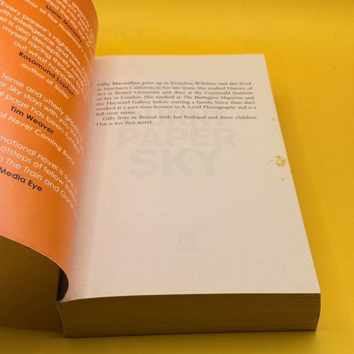 Burnt Paper Sky by Gilly Macmillan