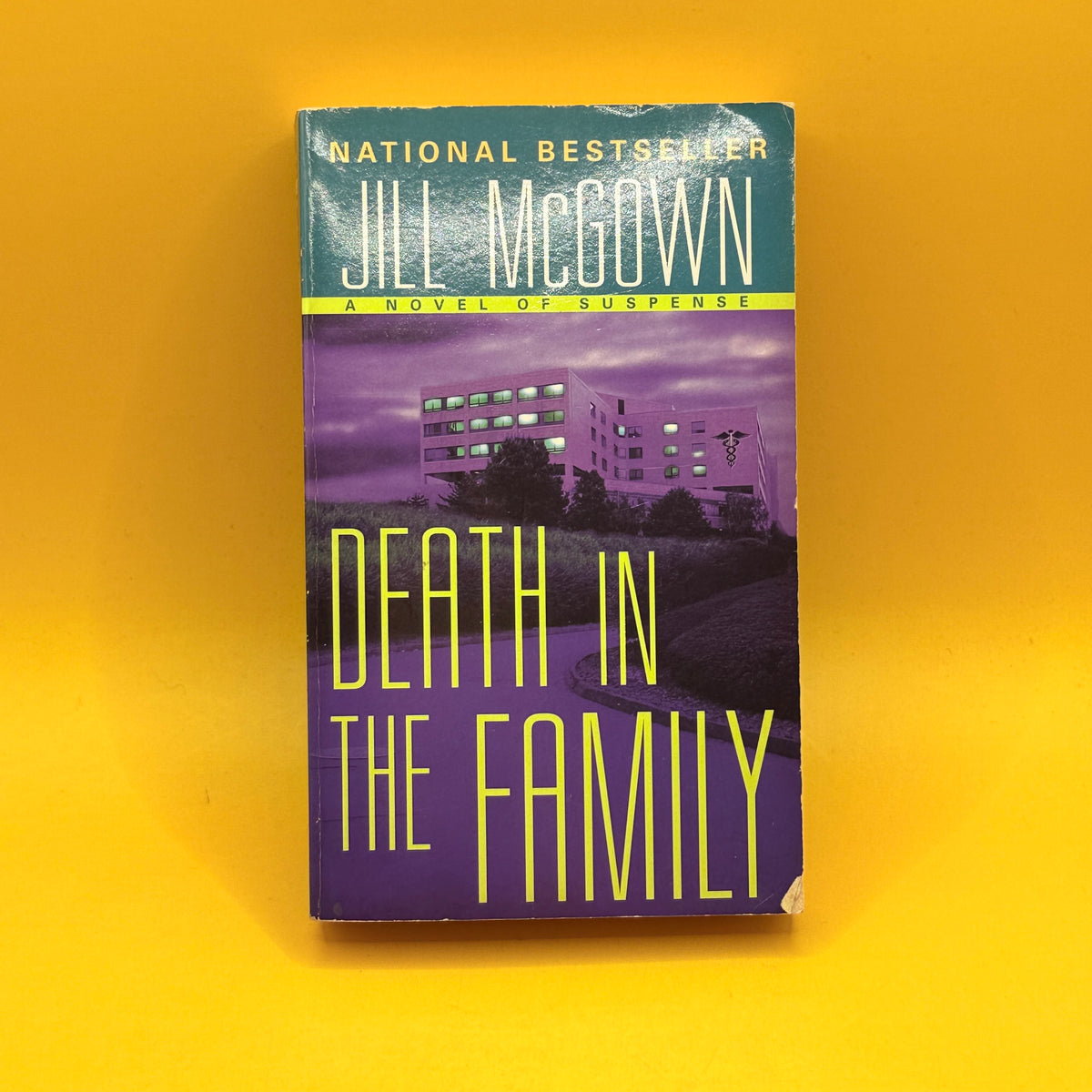 Death in the Family by Jill McGown